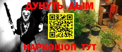 стафф Будённовск