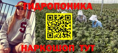 стаф Бугуруслан
