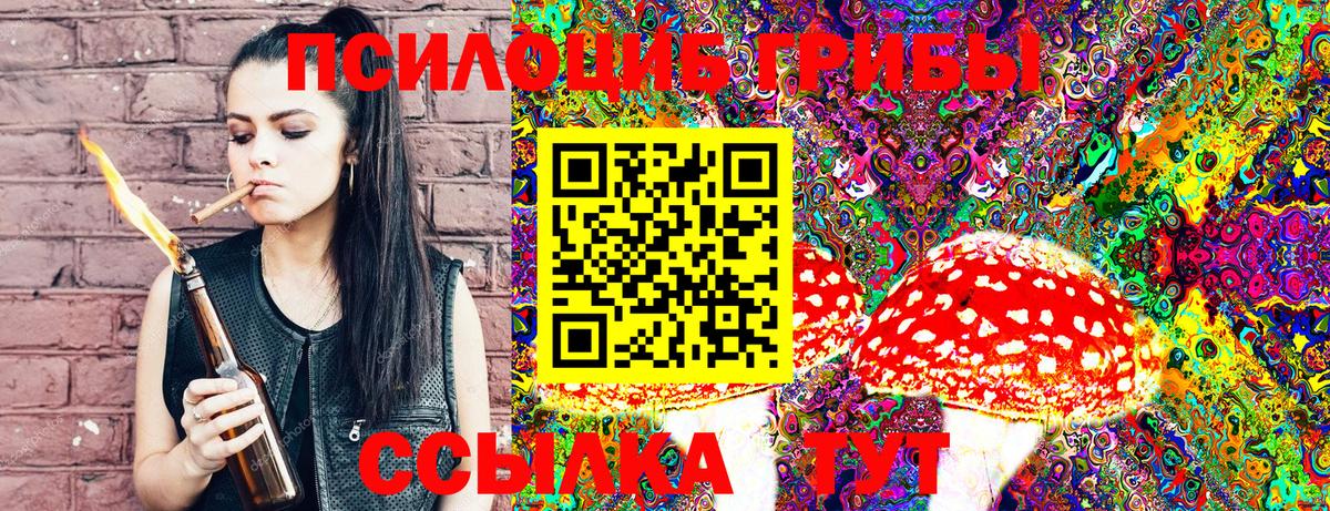 Галлюциногенные грибы Cubensis Сокол