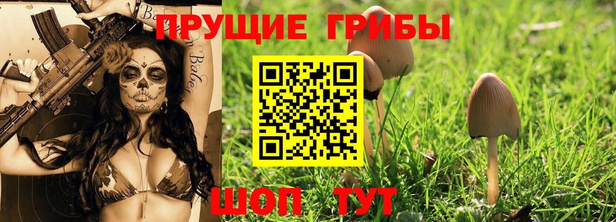 Галлюциногенные грибы MAGIC MUSHROOMS  Вход с VPN  даркнет сайт  Сокол 